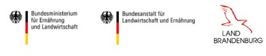 Land_Brandenburg_Logo
