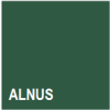 Alnus