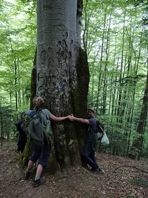 Studierende umarmen einen Baum