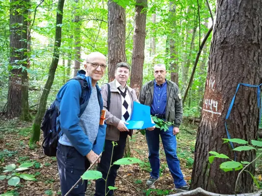 Prof. Spathelf und weitere Personen im Wald