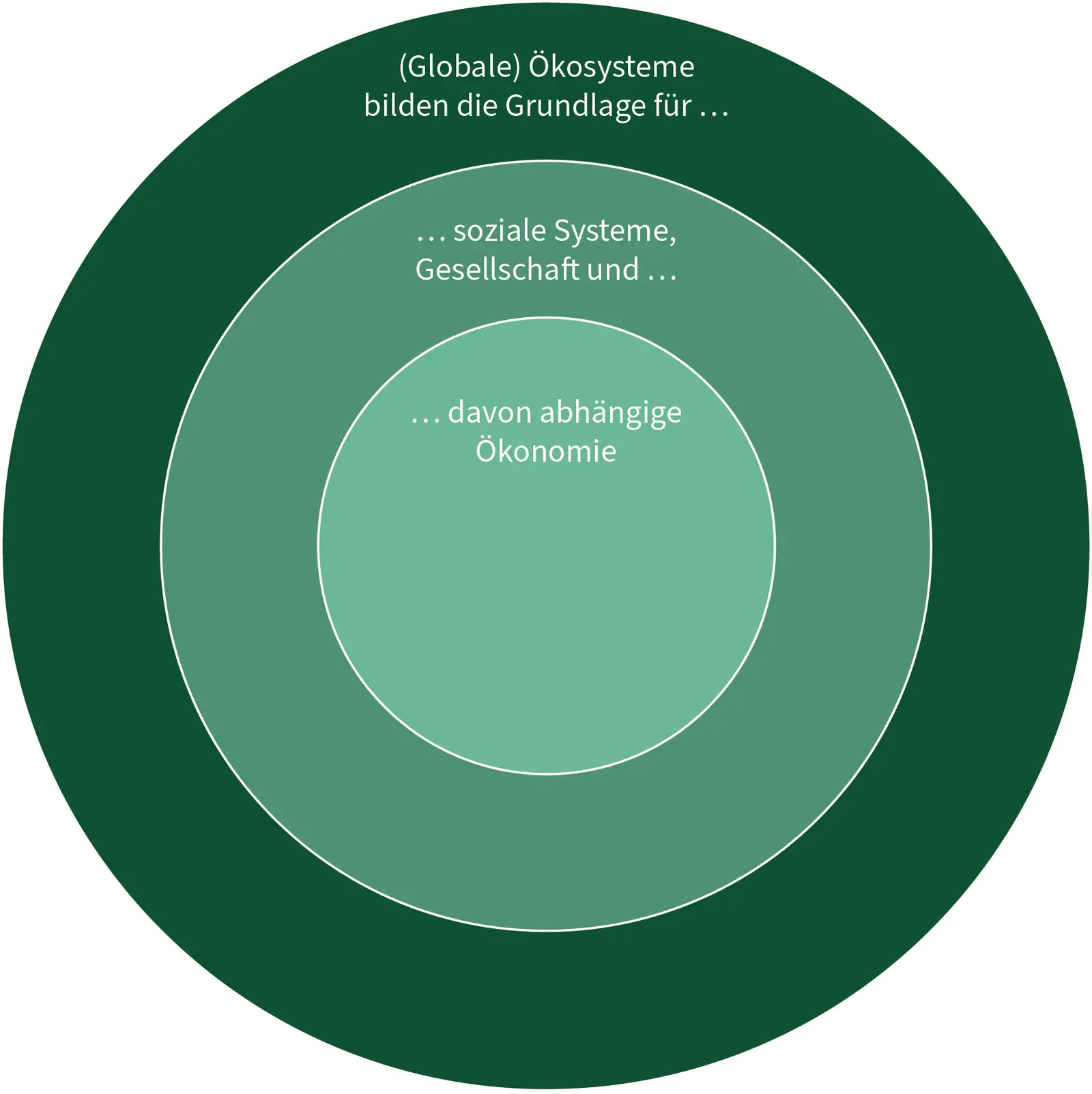 Die Abbildung verdeutlicht das Zusammenspiel von globalen Ökosystemen, sozialer Systeme und der Gesellschaft sowie der davon abhängigen Ökonomie. 