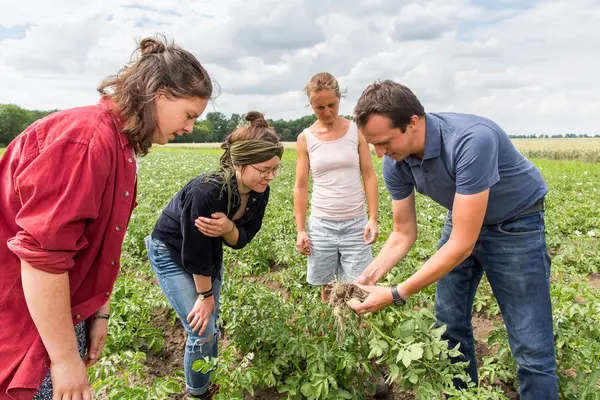 Studierende lassen sich auf einem Feld Pflanzen zeigen.