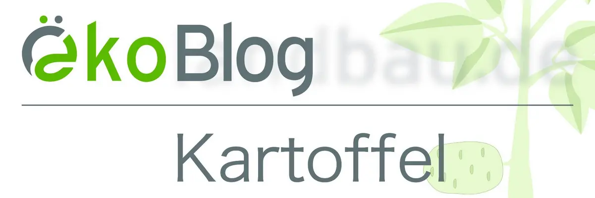 Banner Oeko Kartoffelblog 