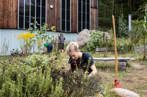 Die Studierendeninitiative Campusgarten an der HNEE schafft einen nachhaltigen Begegnungsort, an dem Studierende gemeinsam gärtnern, lernen und die Biodiversität auf dem Campus fördern.