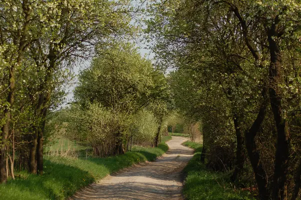 In der Umgebung des Ökodorfs Brodowin