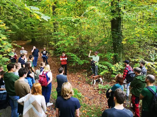 Eine Gruppe von Menschen ist im Wald und hört einer Erklärung des Guides zu.