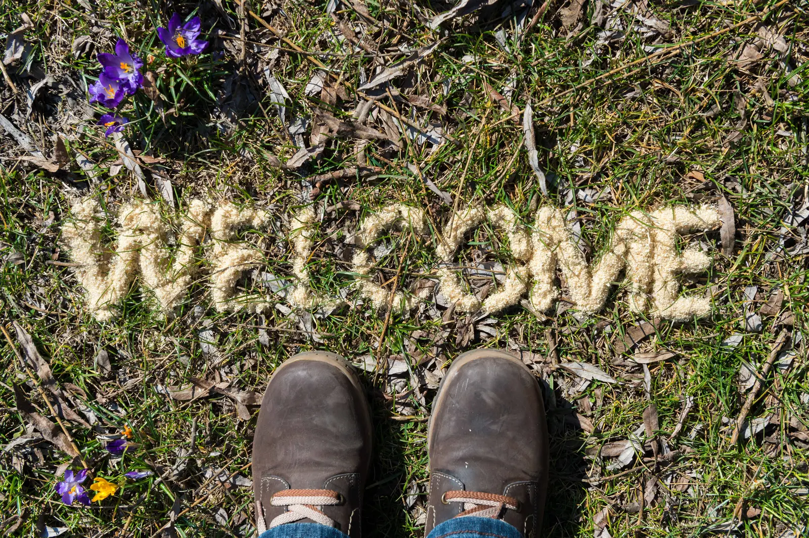 Mit Spänen steht auf einer Wiese "welcome" geschrieben