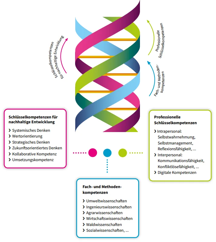 Integrativer Kompetenzerwerb des Eberswalder Studienmodells Visualisierung des Eberswalder Studienmodell
