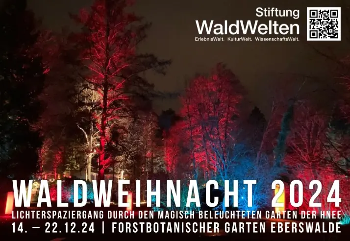 Waldweihnacht 2024